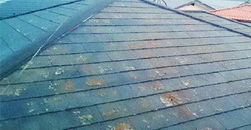 外壁に艶がなく、色の鮮やかさが無くなってくる